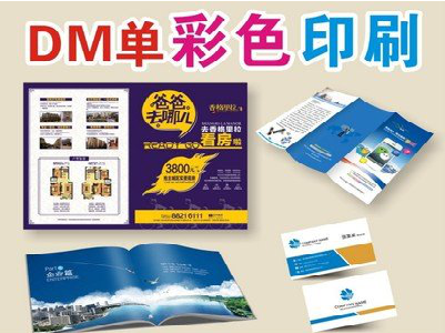 洞口单页印刷，色彩搭配简单。